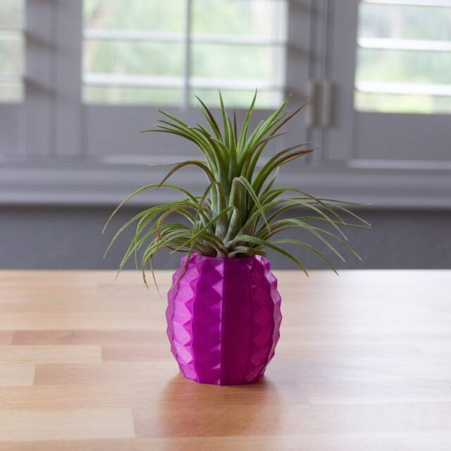 Premade - Amethyst Pineapple Air Plant Holder - Lover Gift - image 1