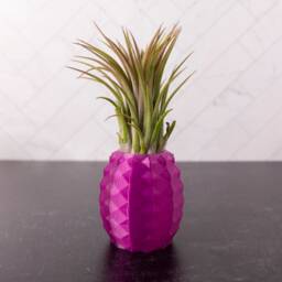 Premade - Amethyst Pineapple Air Plant Holder - Lover Gift - thumbnail 3