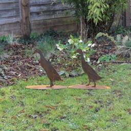 Rusty Metal Runner Duck, Garden Decoration, Steel Anniversary Gift - thumbnail 3