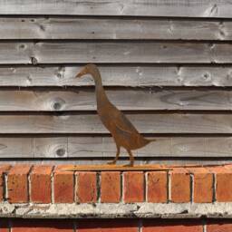 Rusty Metal Runner Duck, Garden Decoration, Steel Anniversary Gift - thumbnail 1