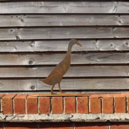 Rusty Metal Runner Duck, Garden Decoration, Steel Anniversary Gift - thumbnail 2