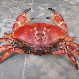 Cast Iron Crab Sculpture Hand-Painted Trinket Box, Nautical Decor - thumbnail 3