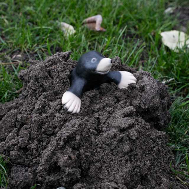Maulwurf Gartendeko Maulwurfsfigur - image 1