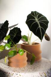 Set Of 2 Homer Plant Pots Ribbed Bioplastic Indoor Planters - thumbnail 1