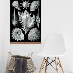 Seashells Canvas Print With Magnetic Wooden Hanger, Coastal Wall Art - thumbnail 3