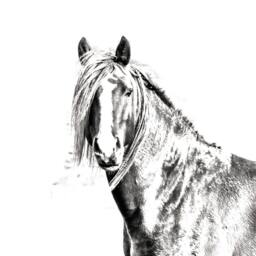 Canadian - Wooden Stand For Candles/Pens With The Image Of A Horse New Collection - thumbnail 2