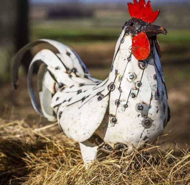 Hand Crafted Metal White Cockerel. Recycled Outdoor Garden Sculpture. Chicken Hen Cockerel - image 1