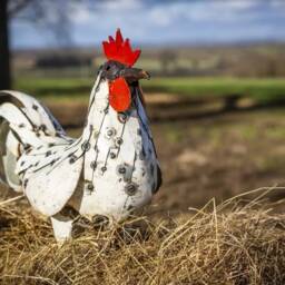 Hand Crafted Metal White Cockerel. Recycled Outdoor Garden Sculpture. Chicken Hen Cockerel - thumbnail 2