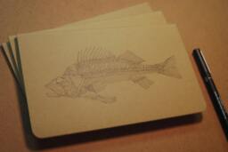 Drawn Perch Skeleton Moleskine Journal - thumbnail 1