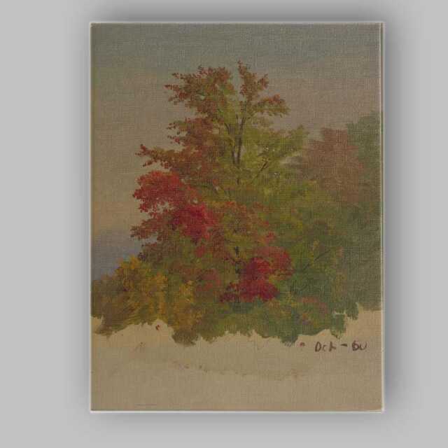 Vibrant Autumn Foliage Tree Study Impressionist Painting Canvas Wall Art Print Decor Picture Ready To Hang - image 1