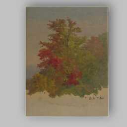 Vibrant Autumn Foliage Tree Study Impressionist Painting Canvas Wall Art Print Decor Picture Ready To Hang - thumbnail 1