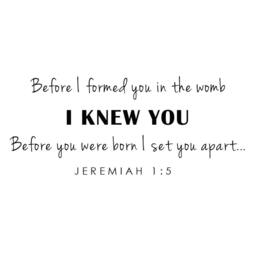 Before I Formed You in The Womb Christian Scripture Wall Decal - Baby Nursery Decal- 055 - thumbnail 3