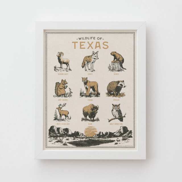 Texas Wildlife Wall Art Print - Vintage Poster Design, Archival Quality Matte Fine Art Print. Outdoor, Wilderness Gift - image 1