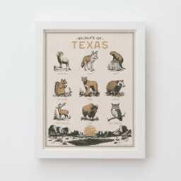 Texas Wildlife Wall Art Print - Vintage Poster Design, Archival Quality Matte Fine Art Print. Outdoor, Wilderness Gift - thumbnail 1