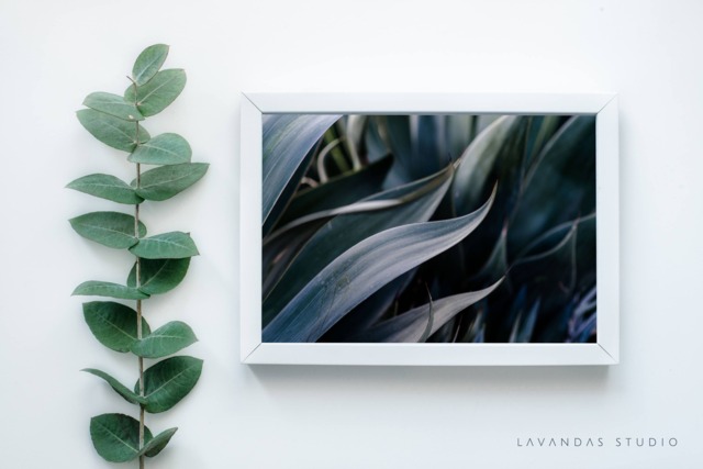 Printable Wall Art, Greenery, Photography, Instant Download, Decor, Boho, Photo, Print - image 1