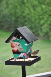 Poker Game Bird Feeder - thumbnail 1
