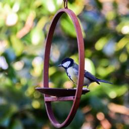 Rusty Metal Hanging Bird Feeder - thumbnail 3