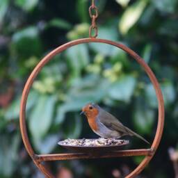 Rusty Metal Hanging Bird Feeder - thumbnail 4