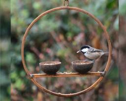 Rusty Metal Hanging Bird Feeder - thumbnail 2