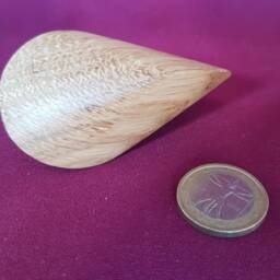 Oloid in Oak Wood Size Small - thumbnail 3