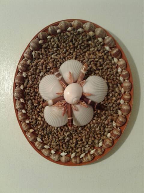 Seashell Wall Decor - image 1