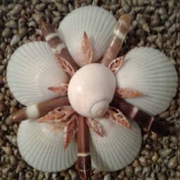 Seashell Wall Decor - thumbnail 2