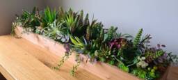 Faux Succulent Planter Artificial Foliage Wooden Centrepiece, Natural Modern Home Decor