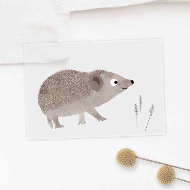 Iron-On Image Hedgehog - image 1