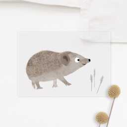 Iron-On Image Hedgehog - thumbnail 2