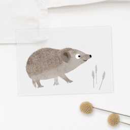 Iron-On Image Hedgehog