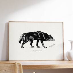 Rustic Wolf Drawing Print, Winter Animal Wall Decor, Classic Ancient Dog Study Sketch, Victorian Naturalists Art Wildlife Poster, Printable - thumbnail 2