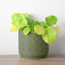 "Heart Planter With Drainage & Saucer in Army Green, Cute 3D-Printed Plant Pot, Sizes 4"" 5"" 6"" 7"" 8" - thumbnail 2