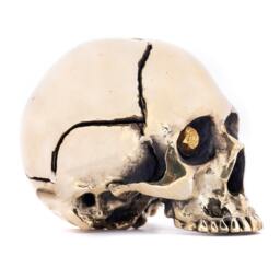 Gold Bling Brass Metal Skull Sculpture With Druzy Crystal Stone Eyes - thumbnail 4