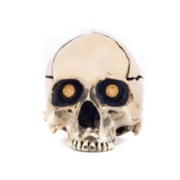 Gold Bling Brass Metal Skull Sculpture With Druzy Crystal Stone Eyes - thumbnail 2
