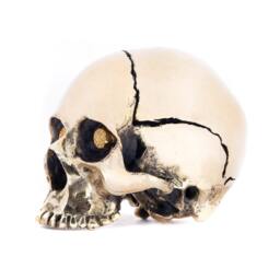 Gold Bling Brass Metal Skull Sculpture With Druzy Crystal Stone Eyes - thumbnail 3
