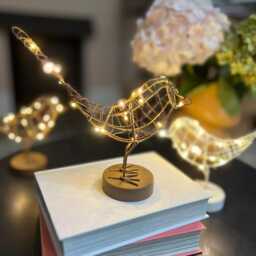 Robin Table Light - Copper, Gold Or White