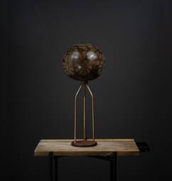 Shell Modern Table Lamp - thumbnail 1