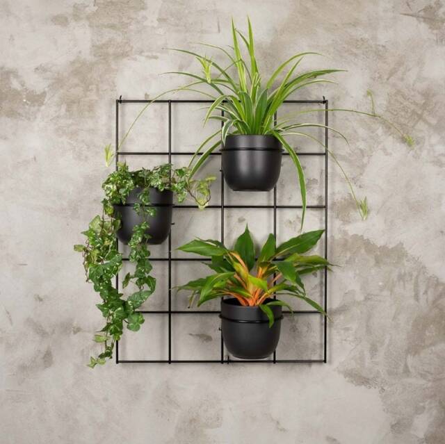 Hedera 3 Set2 Wall Trellis Grid Plant Hanger Pflanzenaufh??nger Blumenaufhanger Kwietnik Plante Cintre - image 1