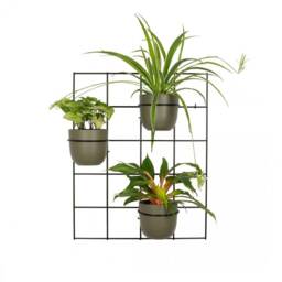 Hedera 3 Set2 Wall Trellis Grid Plant Hanger Pflanzenaufh??nger Blumenaufhanger Kwietnik Plante Cintre - thumbnail 2