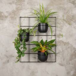 Hedera 3 Set2 Wall Trellis Grid Plant Hanger Pflanzenaufh??nger Blumenaufhanger Kwietnik Plante Cintre