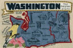 Washington State Pillow With Feather Insert - thumbnail 3