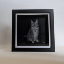 Cat Hand Engraved Frame - Personalised Pet Gift Art Glass Lover Engraving Your Cat Engraved - thumbnail 2