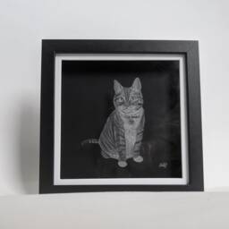 Cat Hand Engraved Frame - Personalised Pet Gift Art Glass Lover Engraving Your Cat Engraved - thumbnail 1