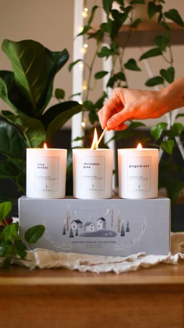 Winter Candle Collection Christmas Pine, Gingerbread, Cosy Winter. Natural Soy Candle Gift Set Box Gifts - image 1