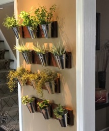 Indoor Wall Planter -Wood Grain Horizontal Mount - One Row Of 3 Pots - thumbnail 1