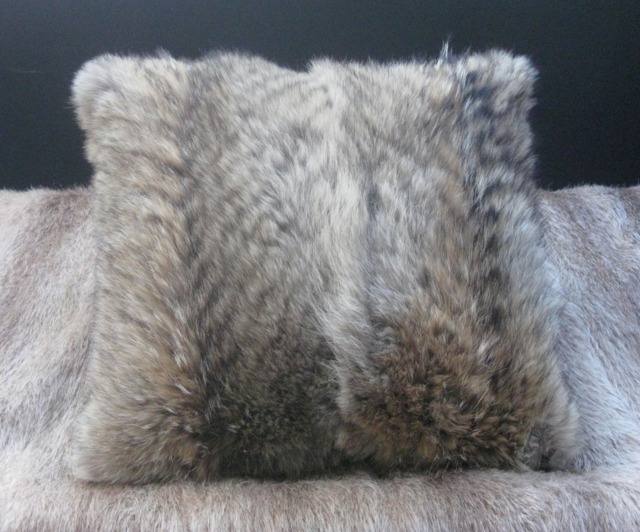 So Coyote, Generous Coyote Cushion - image 1