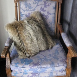 So Coyote, Generous Coyote Cushion - thumbnail 3