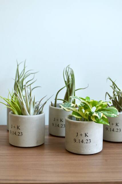 Personalized Plant Pot, Anniversary Gift, Custom Date Planter - image 1