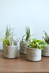 Personalized Plant Pot, Anniversary Gift, Custom Date Planter - thumbnail 1
