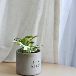 Personalized Plant Pot, Anniversary Gift, Custom Date Planter - thumbnail 3